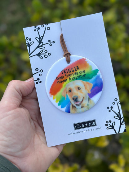 Pet Memorial Ornament