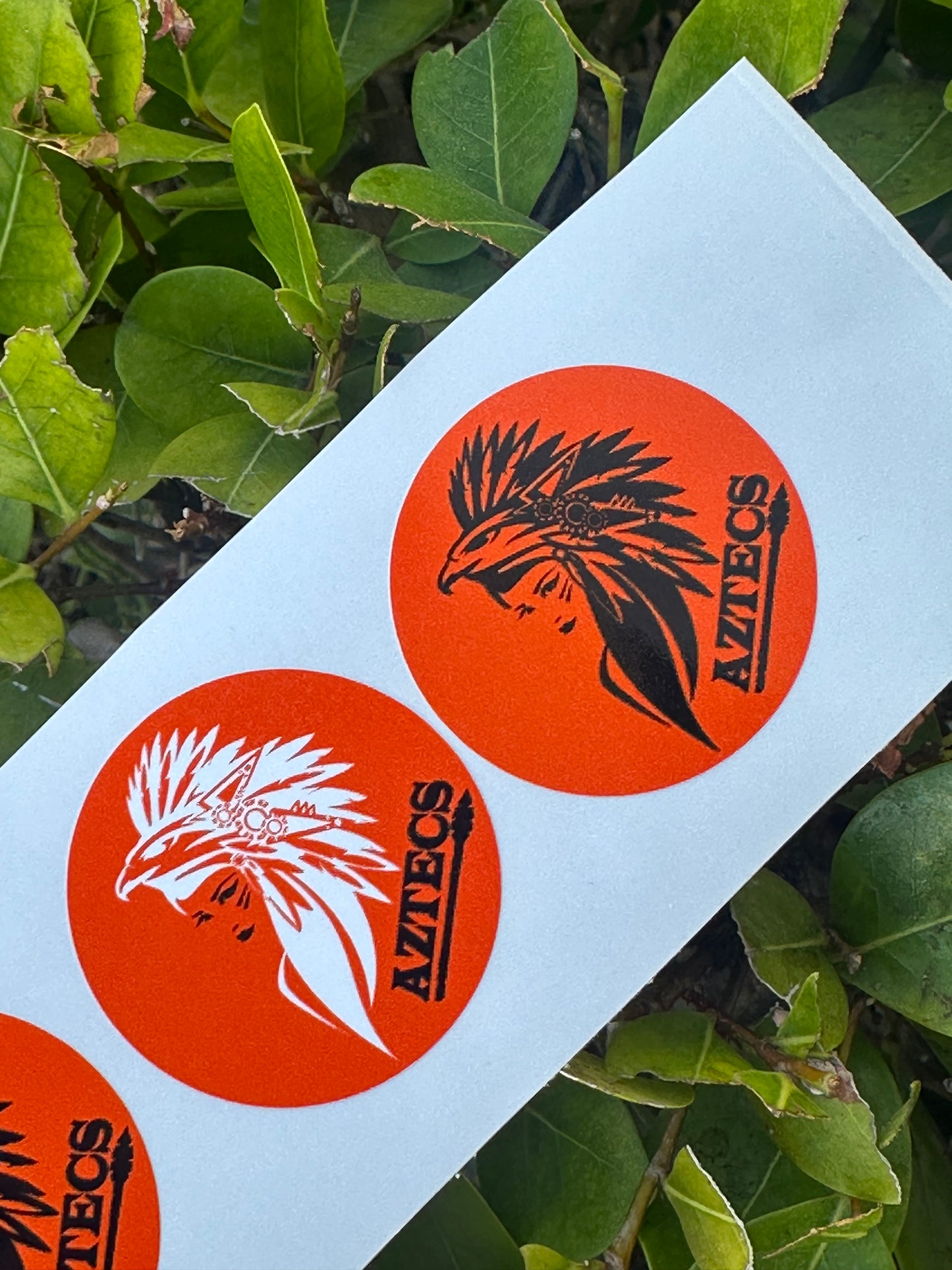 Circle Stickers