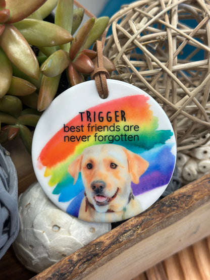 Pet Memorial Ornament