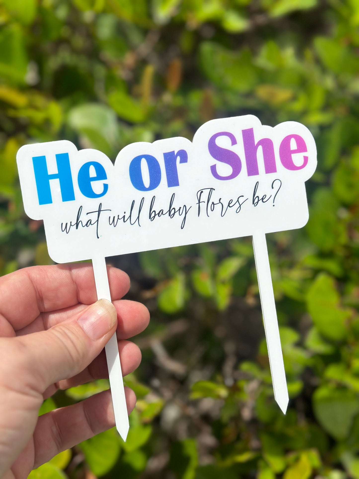 Gender Reveal Cake Topper