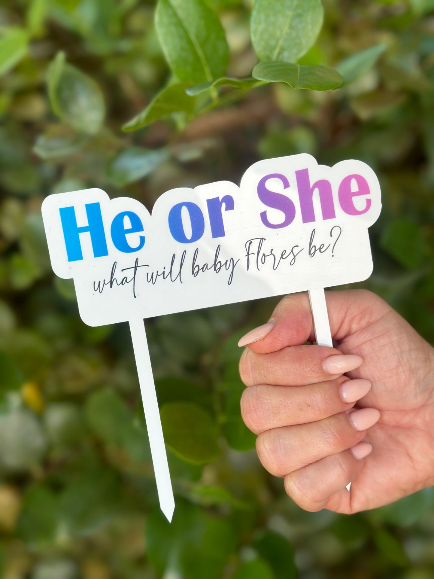 Gender Reveal Cake Topper