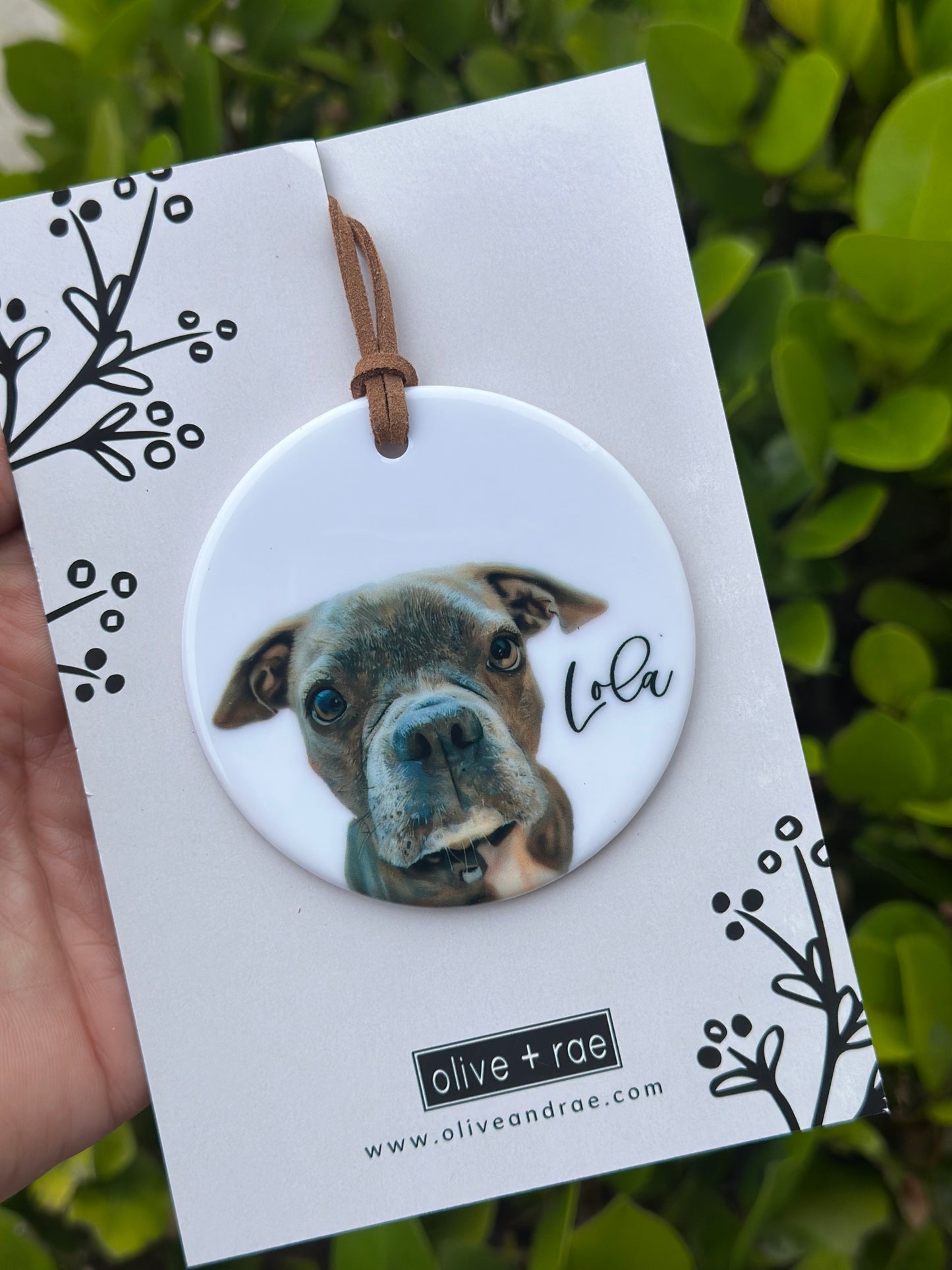 Custom Pet Ornament