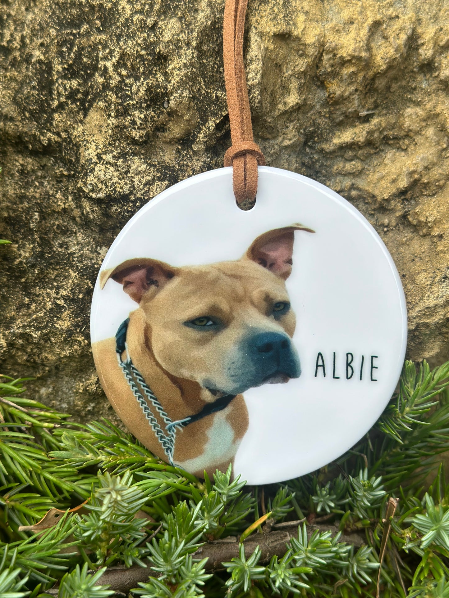 Custom Pet Ornament