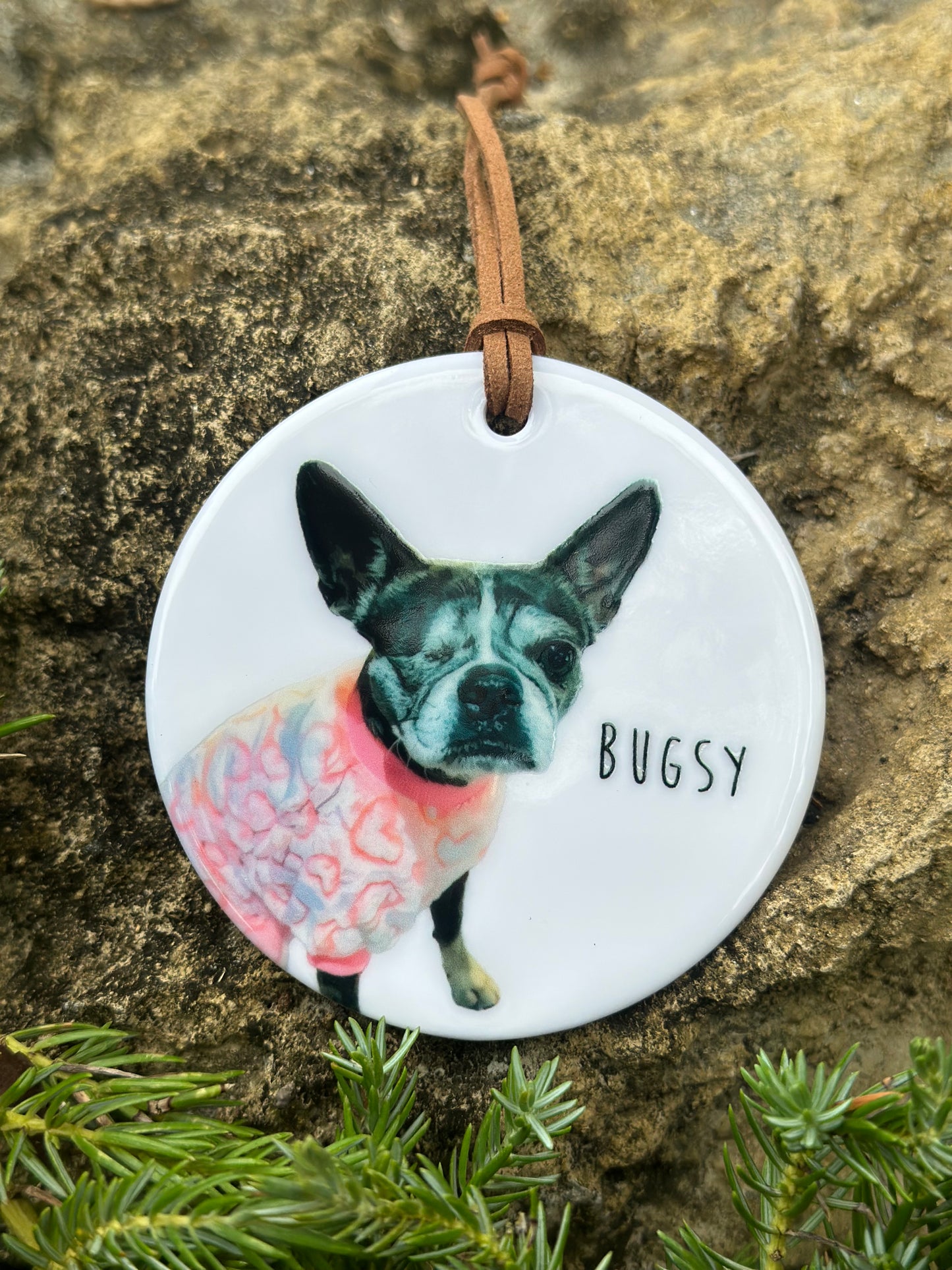 Custom Pet Ornament