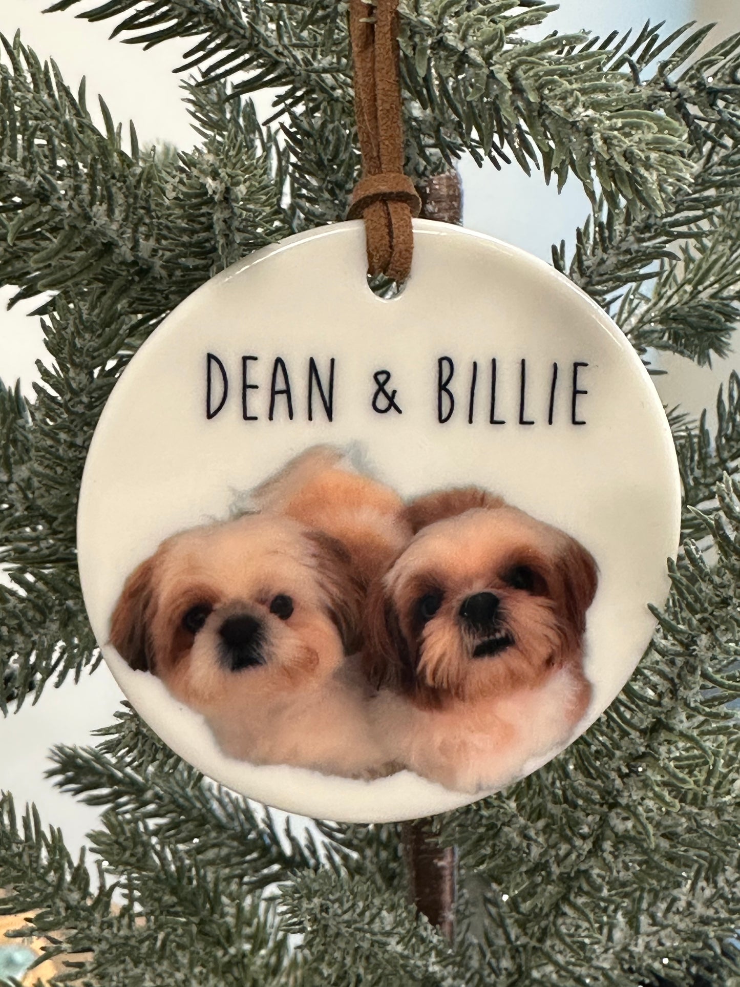 Custom Pet Ornament